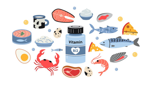 一罐维生素B12和富含维生素B12的食物。海鲜、鱼、肉、奶制品和蛋集。孤立矢量插图，手绘，fla图片下载