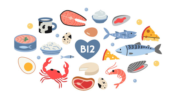 最好的维生素B12来源的食物，卡通风格。海鲜、鱼、肉、奶制品和蛋集。孤立的矢量插图，手绘，平面设计图片下载