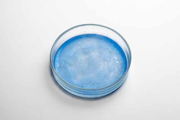 这张详细的图片捕捉了培养皿中的蓝色样本培养基，背景是干净的白色表面，可能是在科学或医学实验室环境中。图片下载