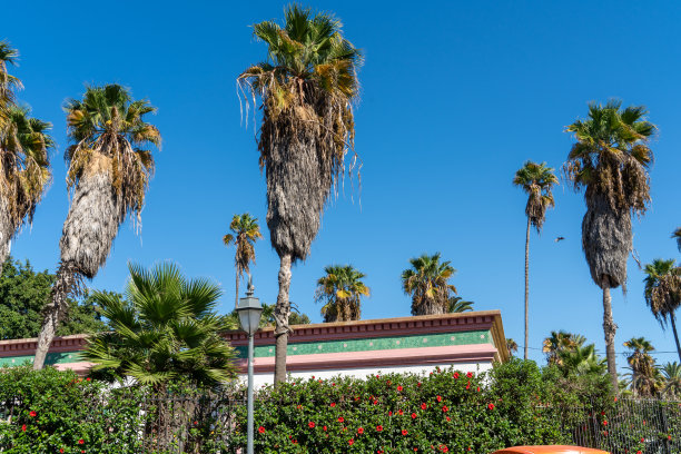 摩洛哥卡萨布兰卡麦地那区的街景图片下载