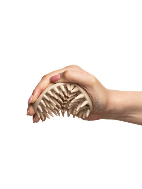 一套梳子梳洗宠物头发隔离在白色背景。硅胶动物安全刷图片下载