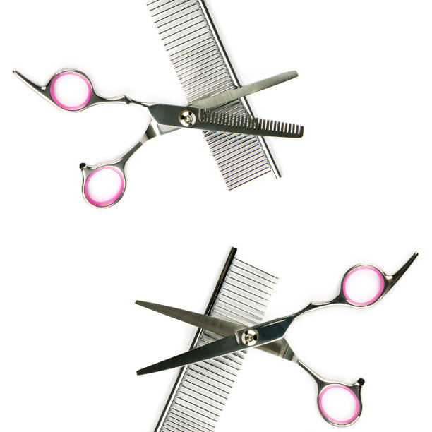 剪刀和梳子用于梳理孤立在白色上的宠物。拼贴画。图片下载