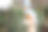 一位微笑着的年轻女子正在挑选要买的圣诞树。图片下载