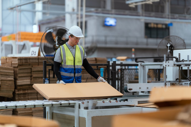 员工们在一家大型造纸厂工作。图片下载