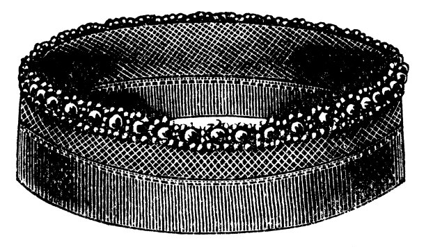 19世纪90年代维多利亚时代的时尚，女士袖口和衣领设计图案的珠子，花边和缎带- 19世纪图片下载