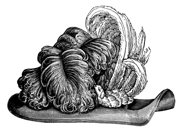 19世纪90年代维多利亚时代的时尚，带有大羽毛羽毛的女士毡帽图片下载