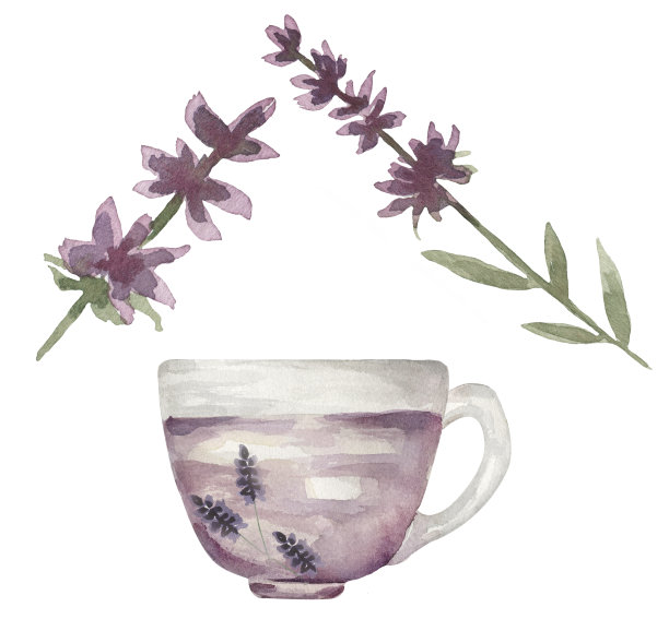 水彩薰衣草杯茶和薰衣草枝花插图集，凉茶剪贴画图片下载