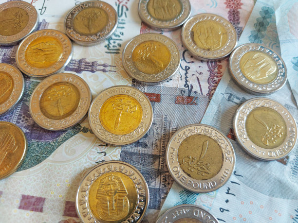 埃及硬币、埃及货币、埃及1镑金属金币、埃及50皮阿斯特图片下载