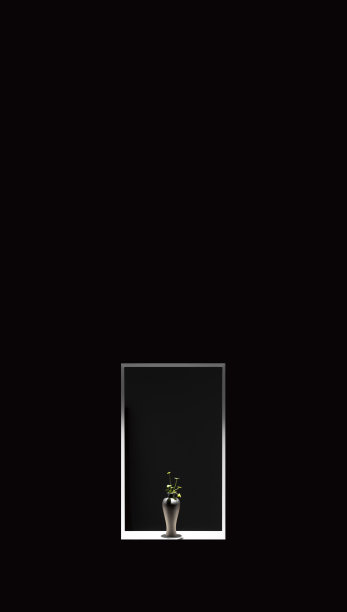 黑底箱灯下的一小盆植物图片下载