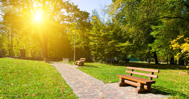 美丽的秋天花园，有木凳和绿色的草坪。宽的照片。图片下载