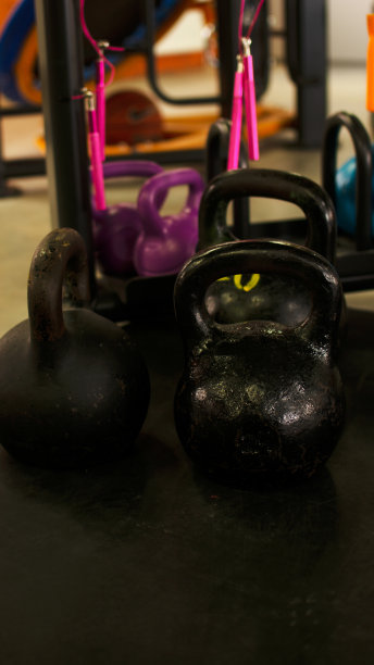 健身或健美概念背景。旧铁哑铃的产品照片，灰色的，在健身房的混凝土地板上。从上面拍摄的照片，有很多复制空间的顶视图图片下载