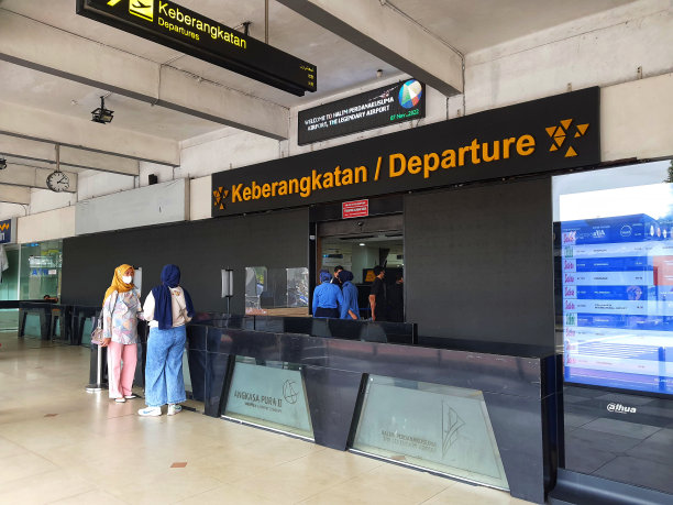 哈利姆机场出发入口处的气氛图片下载