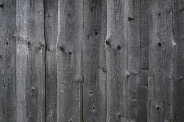 老树的纹理。图片下载