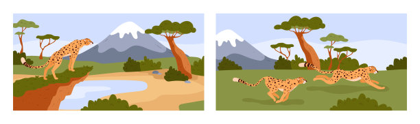 两个矢量插图的集合，描绘了非洲自然背景上的猎豹场景图片下载