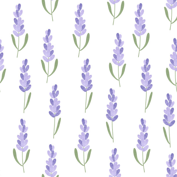 薰衣草花无缝花纹图片下载