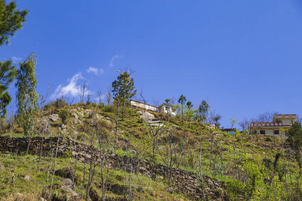 2024年春季图片下载