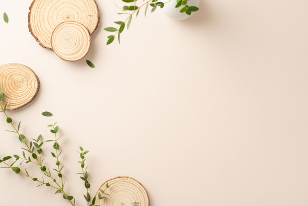 自然温柔的概念。高角度视图的树枝和树叶的桉树和圆形木站孤立柔和的背景与复制空间的照片图片下载