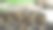 粘土花盆在太阳下晒干图片下载