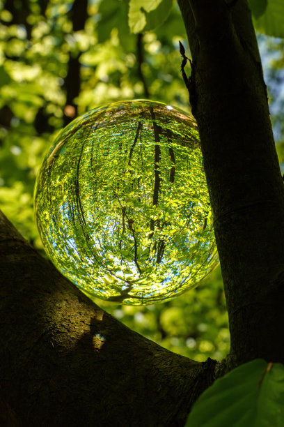春天的森林，阳光透过水晶透镜状的树叶和树枝照进来。自然，林业，树木，栖息地，环境和可持续发展概念，可持续发展图片，库存照片，太阳之星图片下载