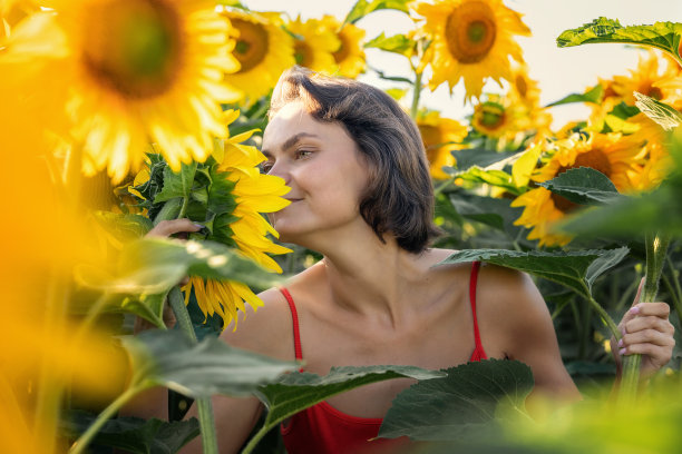 美丽可爱性感的年轻女子享受向日葵花，微笑美丽的微笑，开朗的女孩，风格，生活方式，完美的广告和照片阳光明媚图片下载