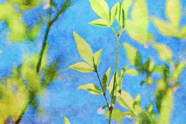 竹叶水彩画图片下载