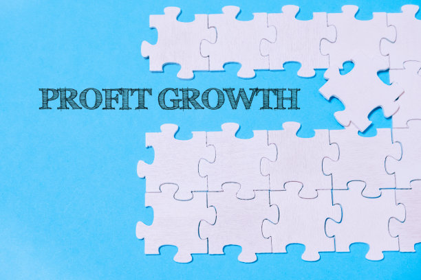 一个写着“利润增长”的拼图图片下载