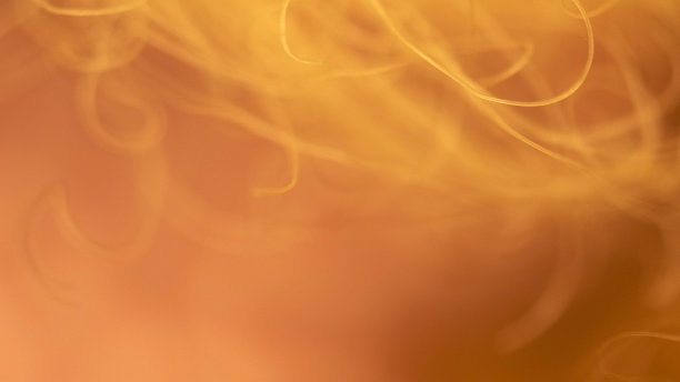 黄色锁下的隐秘世界图片下载