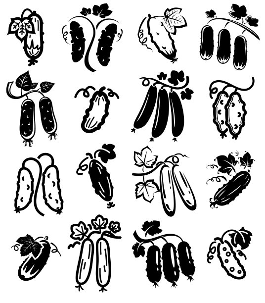 黄瓜。收集图标黄瓜。向量图片下载