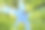 向上看树木方向的天空-可持续发展图片-库存照片-太阳图片下载