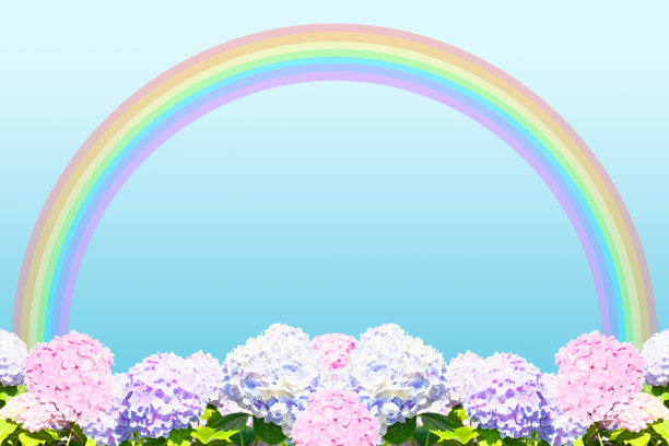 影响照片的粉红色和紫色绣球，彩虹在天空背景插图图片下载