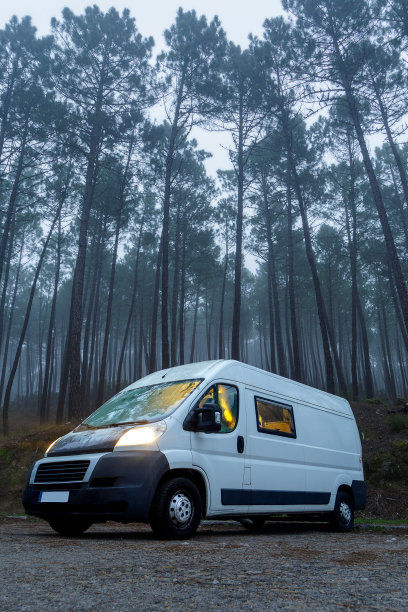 一辆白色露营车的照片。黎明时分，雾气弥漫的松林中的移动房屋图片下载