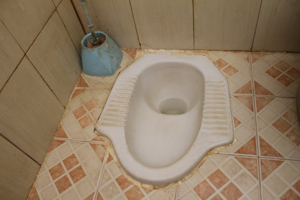 浴室内部使用蹲式厕所，地板又暗又脏图片下载