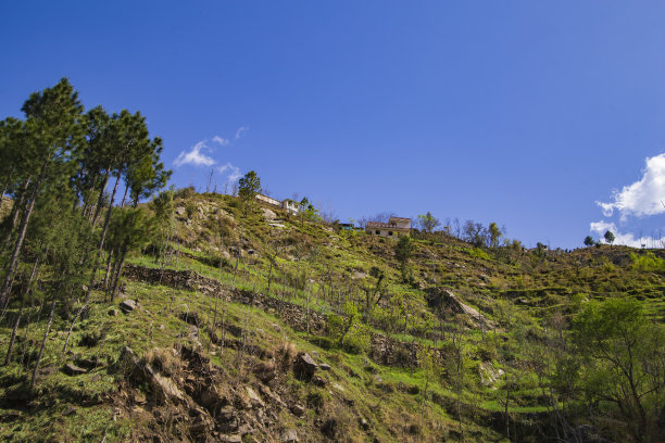 2024年春季图片下载