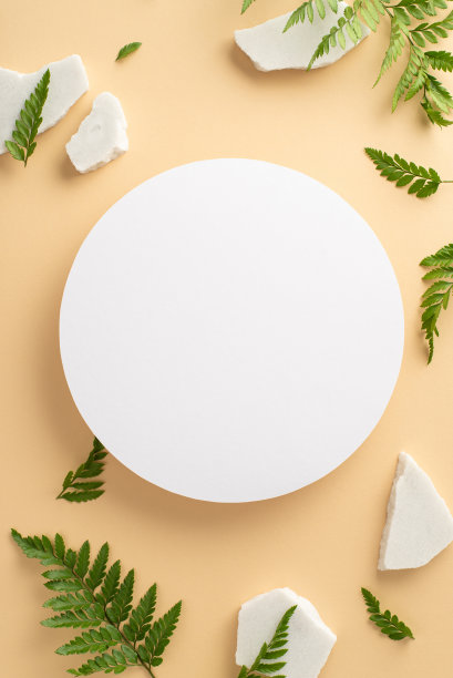 自然美概念。高角度的垂直照片，白色的空圈周围的蕨类植物和大理石砖的分支，在孤立的米色背景与复制空间图片下载