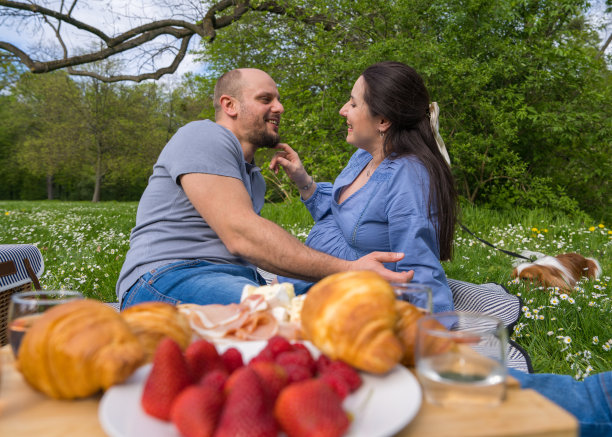 一对幸福的怀孕夫妇在户外野餐。温柔地拥抱对方。一张摆满食物的桌子的照片，草莓。一只狗坐在旁边，是一只可卡犬图片下载