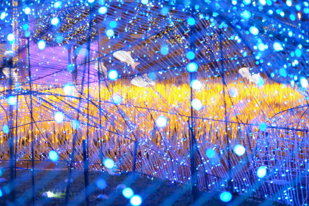 一个被闪烁的灯光装饰的公园。图片下载