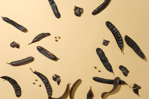 浅棕色的桌子上散落着大量的刺槐果实和种子，照片是用自上而下的相机角度拍摄的。用于显示或展示的空白空间图片下载