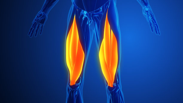 蓝色背景的股四头肌疼痛图片下载