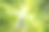 向上看树木方向的天空-可持续发展图片-库存照片-太阳图片下载