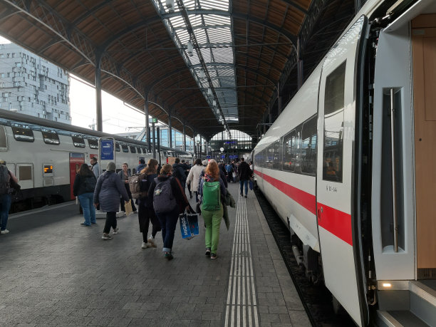 巴塞尔SBB火车站，巴塞尔SBB，车站巴塞尔SBB，瑞士，等火车的人，欧洲图片下载