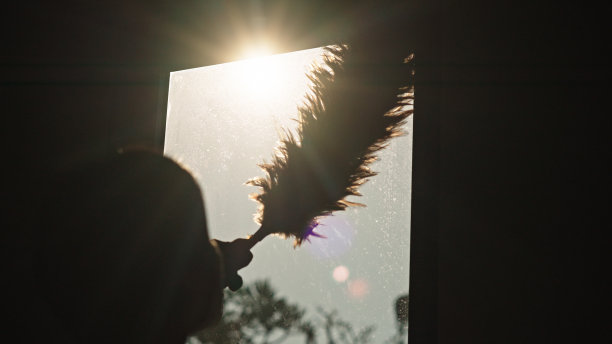 女仆除尘。图片下载