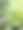 花园里一株带白色条纹的绿色植物的照片。图片下载