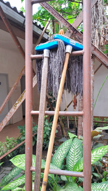 地板拖把的照片，在花园环境为植物和酒店的宣传媒体图片下载