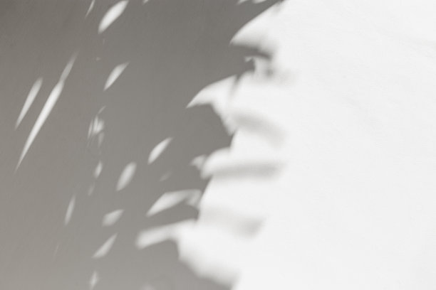 夏季极简风格的背景与模糊的阴影从自然棕榈叶在浅灰白色的背景，硬光，复制空间。在阳光下，白色墙壁上的手掌阴影的美学照片。图片下载