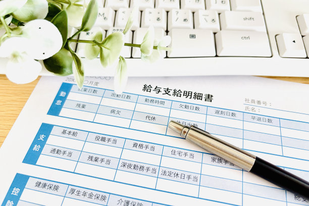 检查工资单图片下载