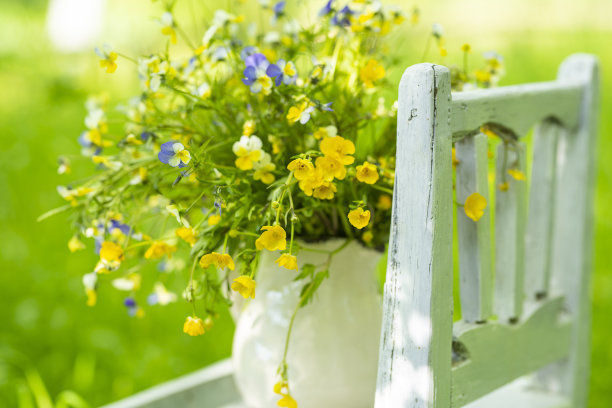 夏天花园里可爱的野花花束。阳光明媚的照片带着夏日的心情图片下载