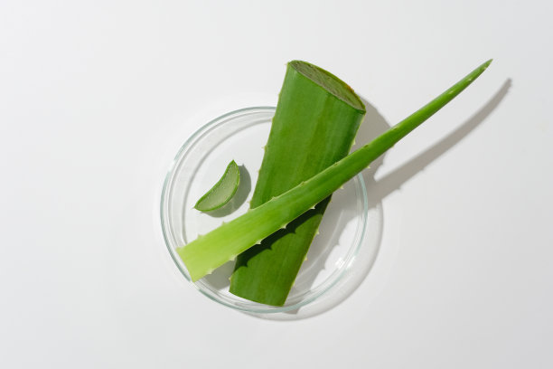 一个装有新鲜芦荟的玻璃培养皿放置在照片的中心，隔离在白色背景上。用于显示产品和添加文本的空白空间图片下载