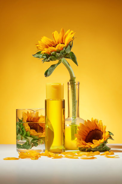 向日葵主题照片在黄色色调，一个空白标签瓶与黄色液体在，烧杯和烧瓶和向日葵，花瓣平躺在白色的桌子上。为广告做造型，正面照图片下载
