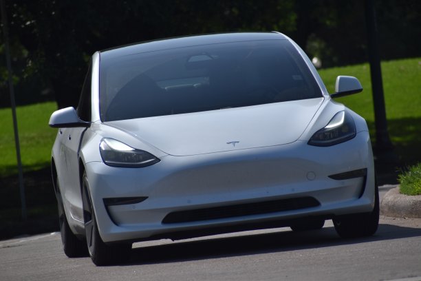 一辆白色特斯拉Model X在自然保护区附近行驶图片下载