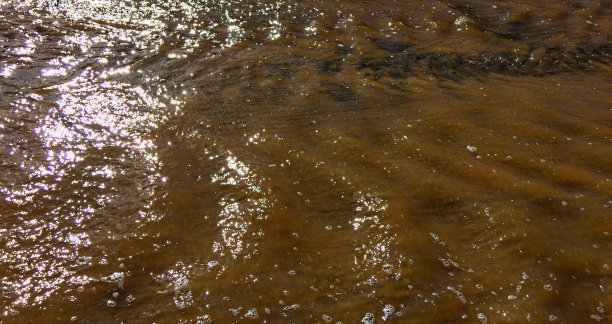这张照片捕捉到了水的特写，水的表面呈现出泥泞的样子，表面有气泡，反射着阳光。图片下载